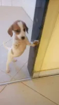 Não tem nome 