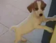 Não tem nome 