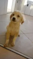 Não tem nome 