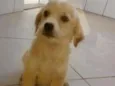Não tem nome 