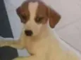 Não tem nome 