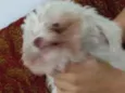 Boby