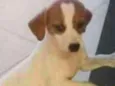 Não tem nome 