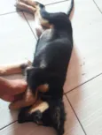 Jheny 