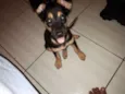 Jheny 