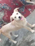 Billy