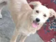 Billy