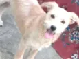 Billy