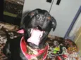 ZORRO