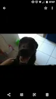 Ravena