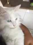 Nina 