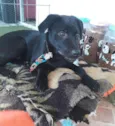 Guinho