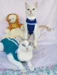 BELLA & LUISE