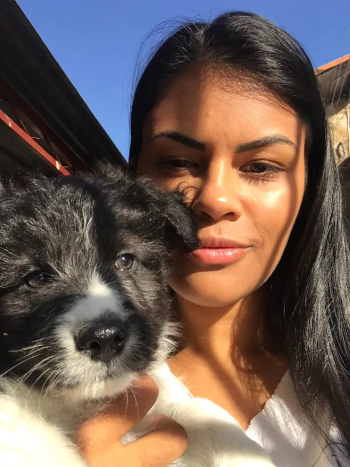 Cachorro ra a Vira-lata  idade Abaixo de 2 meses nome Peludo 