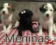 3 bebês lindas