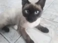 Não sei