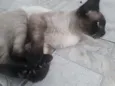 Não sei