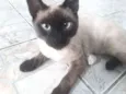 Não sei