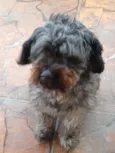Billy