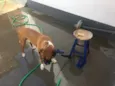 Fiona