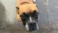 Fiona