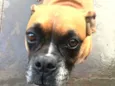 Fiona