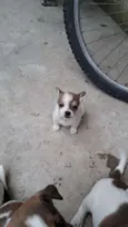 Tita