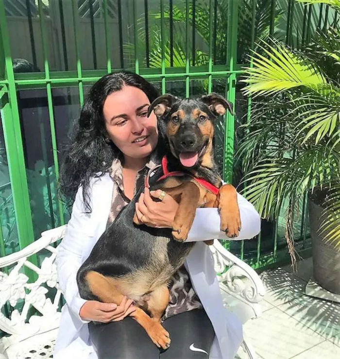 Cachorro ra a SRD idade 2 a 6 meses nome Bruce