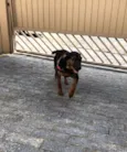Bruce