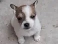 Tita