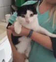 Nala