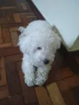 Não sei