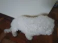 Não sei