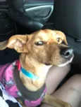 Mel