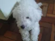 Não sei