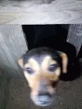 Princesa