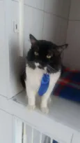 Lord