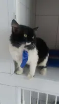 Lord