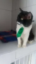 Lord