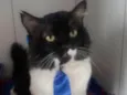 Lord