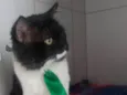 Lord