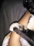 Kiara