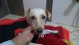 Lila