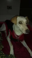 Lila