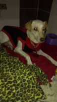 Lila