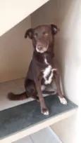 Nina