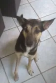 Resgatado