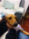 Mel