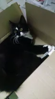 Amélie