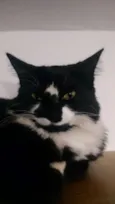 Amélie